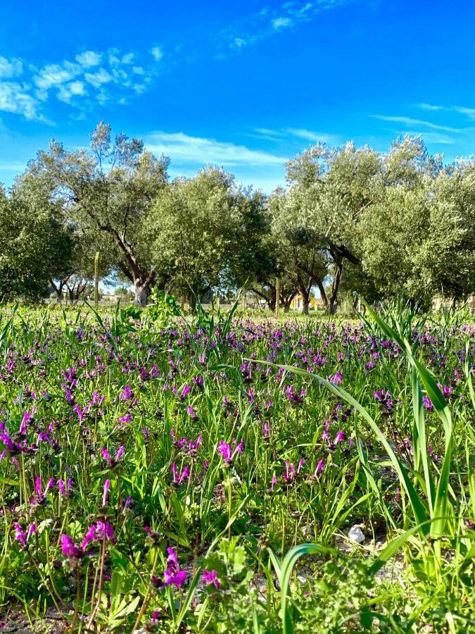 Alacati Barbarossa Hotel Çeşme エクステリア 写真