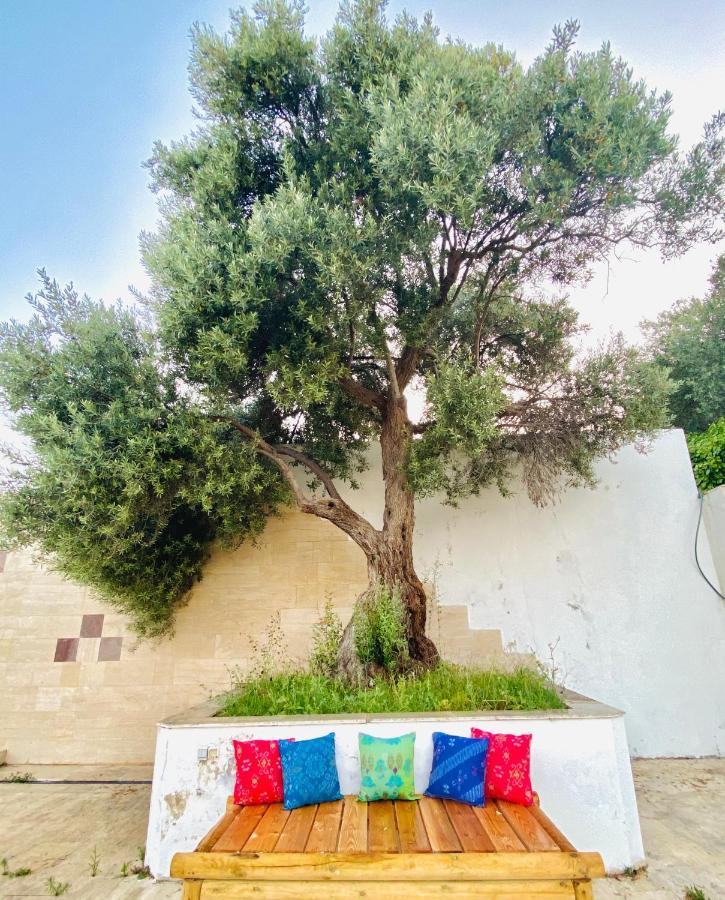 Alacati Barbarossa Hotel Çeşme エクステリア 写真