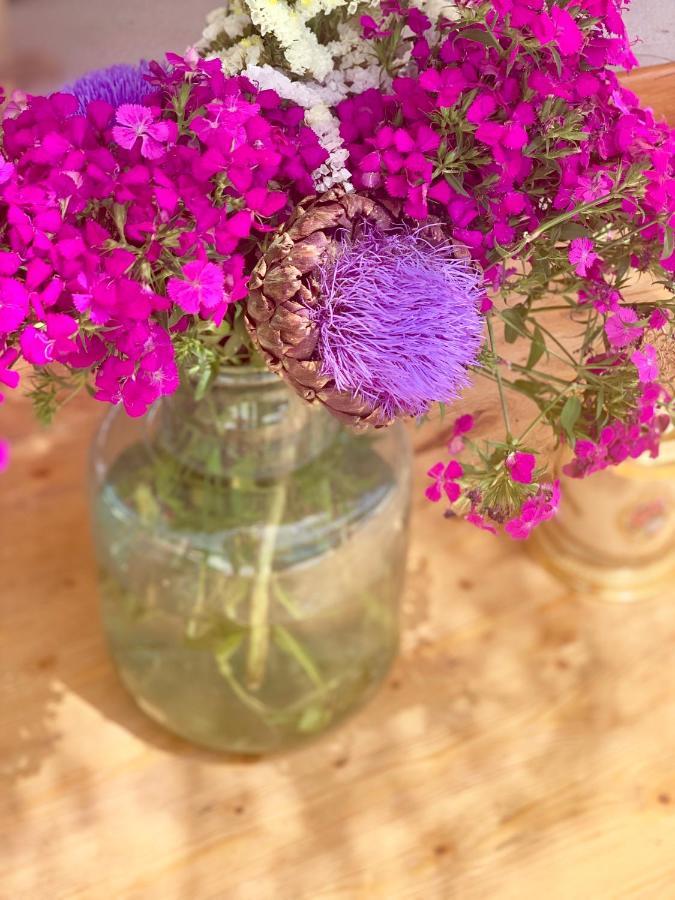 Alacati Barbarossa Hotel Çeşme エクステリア 写真